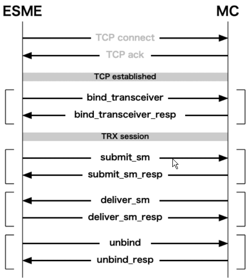 File:SMPP img 04 ex session.png