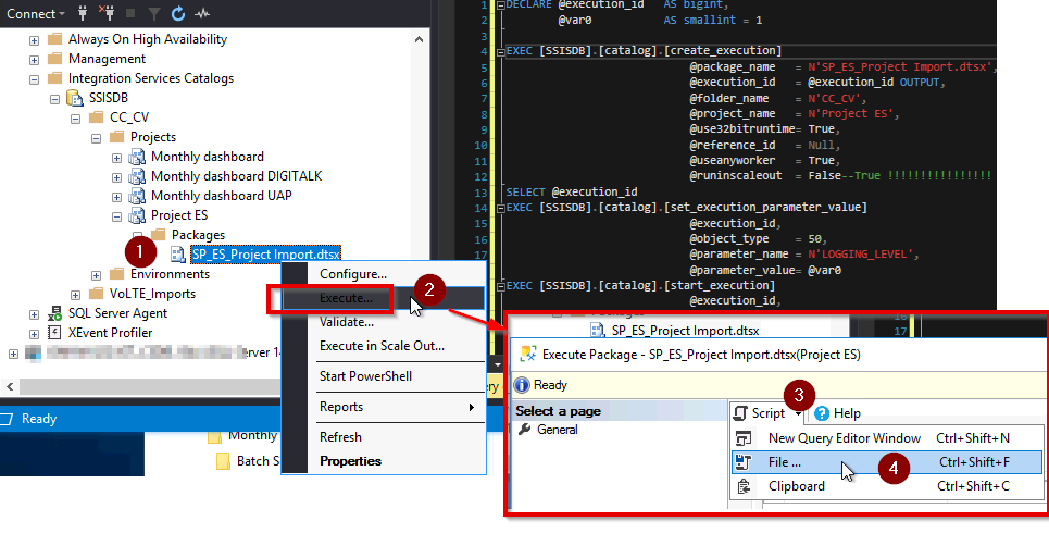 Script Esecuzione SSIS 01.png