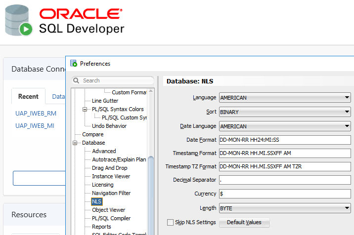 Oracle SQL Developer DataFormat.png